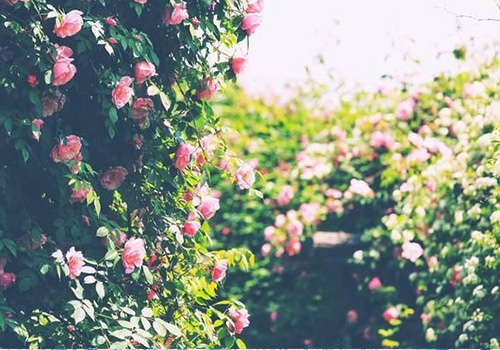 源和環(huán)保 源和環(huán)保